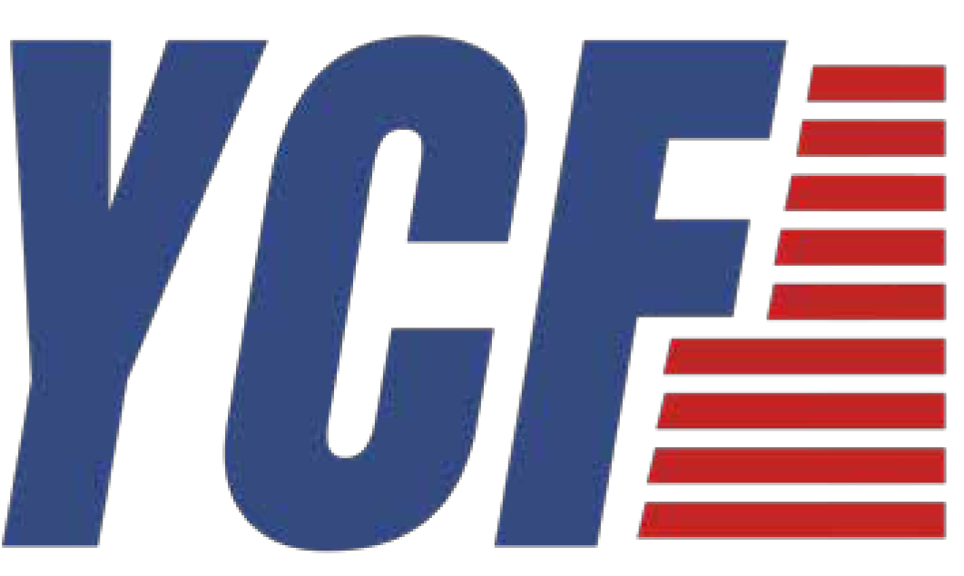 Young Conservative Federation