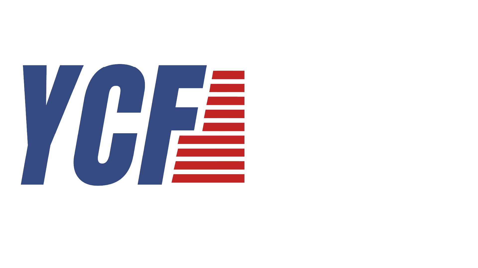 Young Conservative Federation